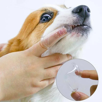 Easy Pet Teeth Care Kit